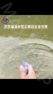 AXPUMP Pompa Air Celup Mini DC24V-51mm Filter Silver Pompa Transfer Oli Sedot Minyak Disel Pump Submersible Mini Pump