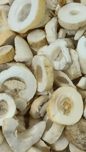 白通草 大通草 15g Tong Cao Medulla Tetrapanacis Herba Tambah Ibu Susu