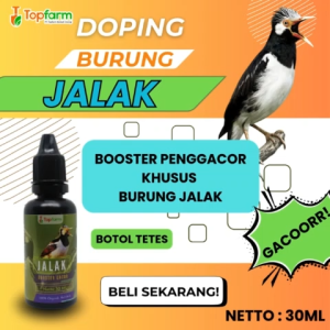 Booster Burung Jalak / Vitamin Booster Burung Jalak / Vitamin Burung jalak / Booster Penggacor Burung Jalak / Vitamin Penggacor Burung Jalak / Vitamin Burung Jalak Cepat Gacor / Doping Burung Jalak