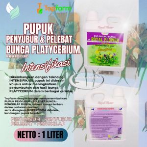 Pupuk Platycerium Cair: Panduan Lengkap untuk Platycerium Wandae Papua