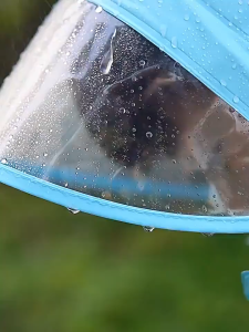 Kids Cartoon Raincoat Cartoon Style Poncho Transparent Raincoat With Brim Waterproof Raining Cover