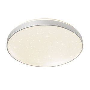 Philips | Nordic Modern Simple LED Ceiling Light