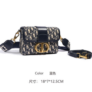 Embroidered Casual Crossbody Bag Womens Wide Strap Shoulder Bag Fashionable Lock Buckle Closure Small Square Bag for All