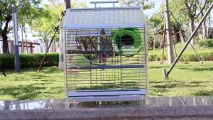 Bird Trap Parrot Cage For Bird Birdcage Display Pet Cage Bird Cage Budgie Cage Birdcage High-Permeability Side Panel Splash-Proof Acrylic Outer Band 鸟笼子