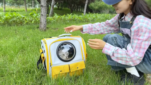 Smart Pets Portable Pet Bag Large Capacity Space Capsule Dog Bag Foldable Breathable Cat Backpack