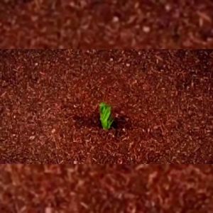 ถุงปลูกต้นไม้ กระถางต้นไม้ กระถางผ้า ถุงปลูกผัก ถุงผ้าปลูกต้นไม้ กะบะปลูกผัก ถุงปลูก ทนความร้อน เนื้อผ้าหนา ทนทาน