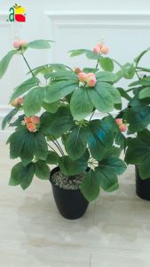 TANAMAN ARTIFICIAL WALISONGO BUAH MB B8091 TANAMAN HIAS PLASTIK DEKORASI RUMAH