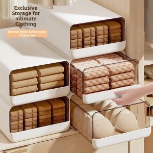 Drawer Type Multi-functional Organizer for Underwear Socks and Pants