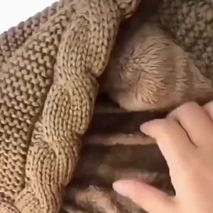 Winter Warm Knitted Hat with Scarf 2-in-1 Balaclava Cap Headgear for Women Girl Ear Protection Outdoor Cycling Hiking Travel Hat