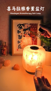 Himalayan Salt Lamp: Essential Oil Aromatherapy Air Purifier Sleep Aid Night Light Natural Mineral Crystal Lamp Housewarming Gift