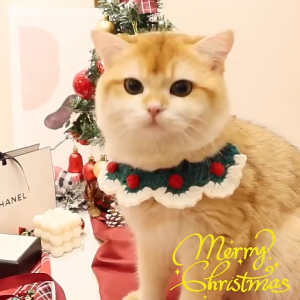 Pet Christmas Bowknot Christmas Pet Scarf Collar Christmas Bibs W/bell Cute Collar For Cats & Dogs