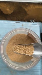 1kg SINKING PELLET Shrimp and fish food P01 P02 PO1 PO2 TATEH Aquafeeds Betta
