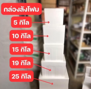 กล่องโฟม ลังโฟม พร้อมฝา 5 ขนาด (5 / 10 / 15 / 19 / 25 ) กิโล กล่องโฟมอเนกประสงค์ กล่องโฟมเก็บของสด–ของแห้ง-ของเย็น