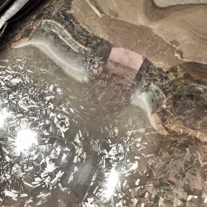 forged carbon fiber sticker wrap adhesive waterproof stretchablewashable.