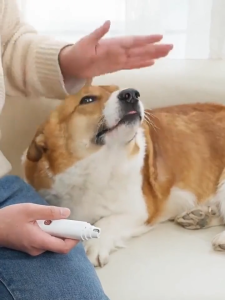 Electric Callus Remover Callus Remover Electric Foot Callus Foot Grinder Rechargeable Callus Foot Removal Machine with LED Light and 2 Roller Heads Foot Scrubber  Callus Remover Electric Foot Scrub Callus Remover for Cracked Heels dry and cracked