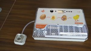 Máy ấp trứng thông minh mini Dương Ninh cao cấp hiện đại T20 MAT04