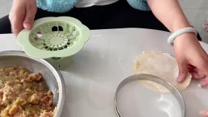 Baozi Maker Machine6.57" Dumpling Momo Maker Mold Plastic Kitchen Gadget Tool Homemade Bao Buns Preparation Culinary Exploration Ease of Use Cleaning(Green)