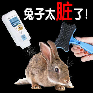 Rabbit Dry Cleaning Powder Minipet Bath Special Comb Supplies Hamster Guinea Pig Deodorization Cleaning Comb
