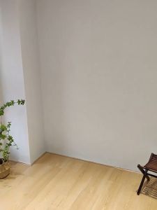 ตู้รองเท้าโฮมใหม่รุ่นใหม่ 2024 ห้องเก็บของง่าย ๆ ดูดีในชั้นวางฝุ่นขนาดใหญ่ที่มีความจุขนาดใหญ่