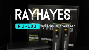 RAYHAYES Wireless Microphone Dual Handheld Karaoke Microphone for Karaoke Party for Girls Gift