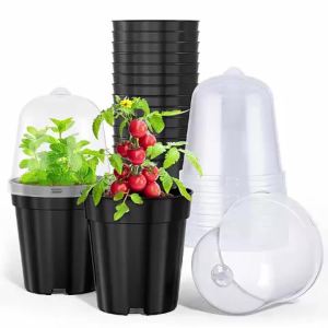 Nursery Pots Flowerpot Gardening Seedlings Home and Garden Mini Pot Plant Indoor Bonsai Seeds Succulent Small Plants