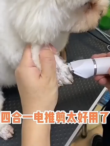 Rechargeable waterproof  Pet Grooming Shaver 4 in1 Multi-function Dog Cat Pet Trimmer Kit Professional Electric Hair Clipper Pet Nail Sharpener