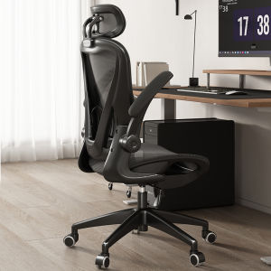 AIDESHENG | Ergonomic Lumbar Support Computer Chair