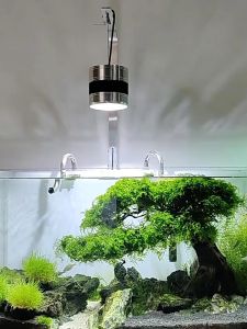 [Rẻ vô địch] Đèn Lon Đèn dowlight WRGB Giúp lên màu cá không đỏ nước Thúc đẩy cây thuỷ sinh phát triền