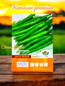 (KEMASAN PREMIUM) BIJI/BENIH CABE HIJAU BESAR IMPORT