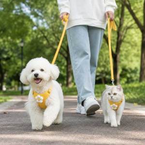 Lovinland Pet Adjustable Escape Proof Pet Harness and Leash Safety Buckle No Choke Vest for Outdoor Walks