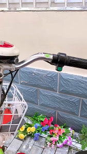 New No-Punch Electric Vehicle Hook Latch Multi-Functional Bicycle Heavy Load Hook Cute Cartoon Hook