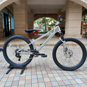 XDS | Single-speed Aluminum Mountain Bicycle 26 inches