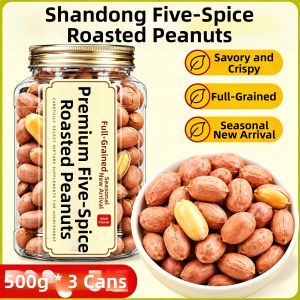 XIANSHIZI | Five-Spice Garlic Flavored Oil-Removed Peanuts