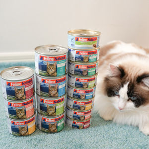 Feline Natural Cat Wet Food Chicken/Lamb/Beef/Venison Multi Flavor No Grain Hypoallergenic Can Food 85g