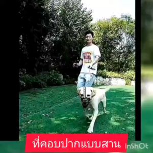 LKD029 ที่ครอบปากแบบสาน