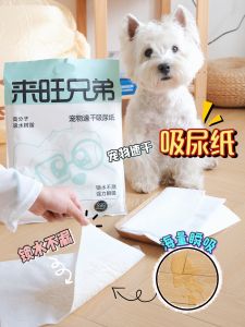 Disposable Dog Urinal Mat Absorbent Puppy Adult Dog Urine Pad Cleaning Diaper Mat Pet Care Supplies Xiao Bai Home