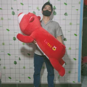 GẤU BÔNG LOTSO GẤU DÂU LOTSO SIZE LỚN VẢI MINISO CAO CẤP GIÁ RẺ