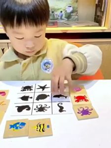 Montessori Shadow Matching ToysFruit Recognition Sorter Puzzle fine Motor Educatinal Toy Kids Image Game Toy