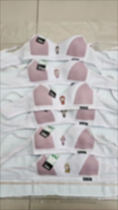 Bra Kombinasi Remaja Perempuan Merek Viray Motif Labubu BH Cewek Beha Bra Remaja Wanita Labubu