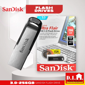Do It Home SanDisk Flash Drive 3.0 256GB: High-Speed Data Transfer & Portable Storage
