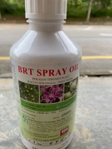 1L BRT Spray Oil agricultural white oil 99.0% Racun Koya Teritip Mealybug Serangga Albarol