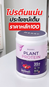 Merry Plant  Protein Mixed Berries เดอะ เมอร์รี่ โปรตีนจากพืช รสมิกซ์เบอร์รี่  ขนาด 1050g จำนวน 1 กระปุก