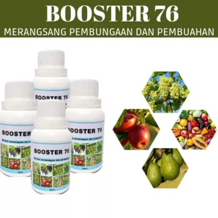 PUPUK BOOSTER 76 (250ML.) Penyubur Pelebat Buah Pembesar Pelebat Buah ...