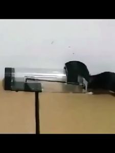 Jebakan Perangkap Tikus Mouse Trap Cage Perangkap tikus plastik yang dapat perangkap tikus JEBAKAN
