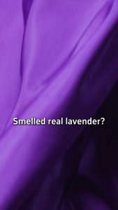 1 Bottle Lavender Laundry Scent Beads - 72H Long-Lasting Odor & Static Eliminator