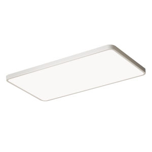 JIANDUN | Frameless Eye-protecting Ceiling Light