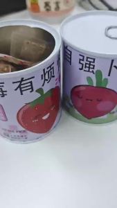 Office green plants creative potted plants plants canned