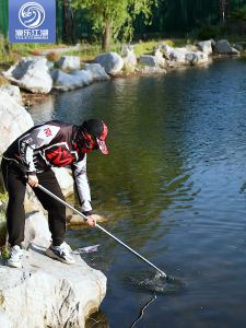 Stainless steel net automatic folding net triangular head net portable positioning net copying fishing gear
