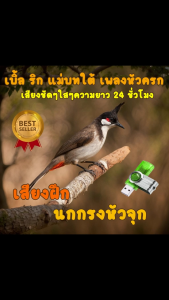เสียงนกกรงหัวจุกเบิ้ล ริก แม่บทใต้ เพลงหัวครก 24 ชั่วโมงเสียงฝึกนก USBแฟลชไดร์ฟเสียงฝึกนก เสียงดี ชัด100% ไม่มีโฆษณาแทรก (MP3 เสียงสัตว์)