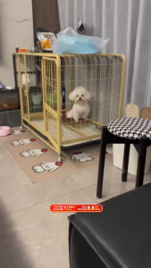 【Còn Hàng】 🐶Lồng Chó Lớn-Chuồng Chó Kích Thước Lớn Bằng Kim Loại Chắc Chắn Chống Cắn Có Khay
